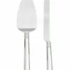 Wedgwood Vera Wang With Love Cake Knife & Server