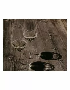 Riedel Performance Riesling Wine Glass -Dining Sales 614463670 3 1 720x928
