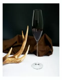 RIEDEL Performance Shiraz/Syrah Glass Set Of 2 -Dining Sales 614463850 3 720x928