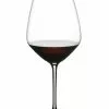 Riedel Extreme Shiraz Glass Set Of 2