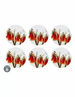 Maxwell & Williams Royal Botanic Gardens Ceramic Round Trivet 20cm Christmas Bells Set of 6