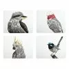 Maxwell & Williams Marini Ferlazzo Birds of Australia 34x26.5cm Set of 4 Gift Boxed Cork Back Placemat
