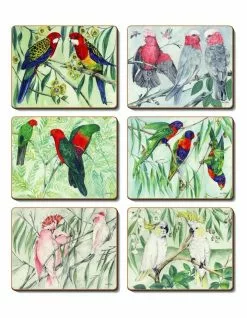 Cinnamon Australian Parrots Set of 6 Coasters