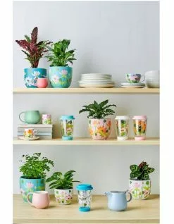 Maxwell & Williams Tint Teapot 600ML Lavender -Dining Sales 850099150 3 720x928