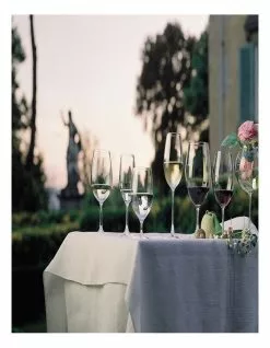 Riedel Overture Red Wine Glass -Dining Sales 871510880 871516100 3 720x928